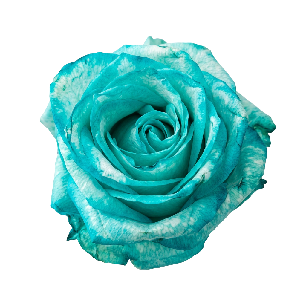 Turquoise Rose
