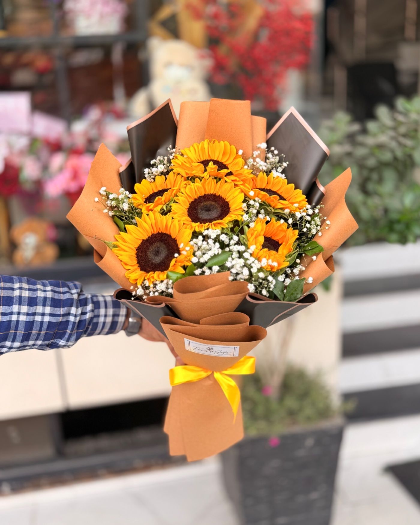 Sunflower shine
