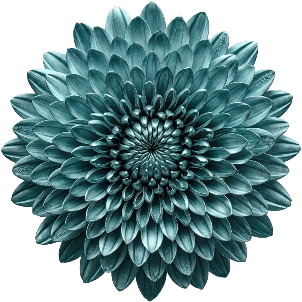 Turquoise Chrysanthemum